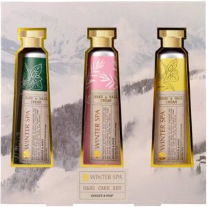 Accentra Winter Spa set cadou pentru maini si unghii-ro