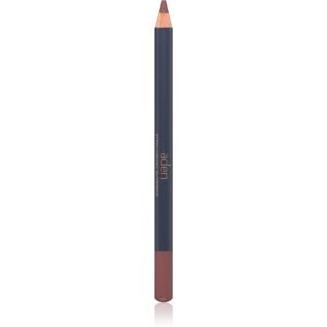 Aden Cosmetics Lipliner Pencil creion contur pentru buze culoare 30 MILK CHOCOLATE 1
