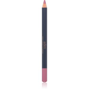 Aden Cosmetics Lipliner Pencil creion contur pentru buze culoare 62 EXTREME NUDE 1