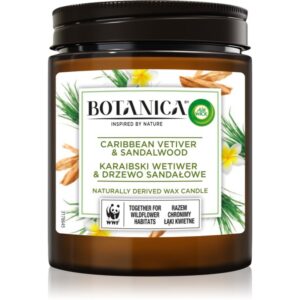 Air Wick Botanica Caribbean Vetiver & Sandalwood lumânare parfumată 205 g-ro