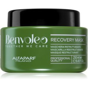 Alfaparf Milano Benvoleo Recovery Masca regeneratoare pentru par deteriorat 250 ml-ro