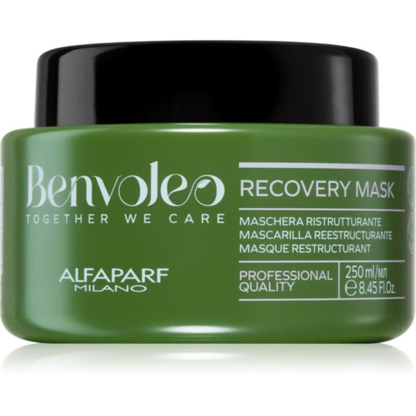 Alfaparf Milano Benvoleo Recovery Masca regeneratoare pentru par deteriorat 250 ml-ro