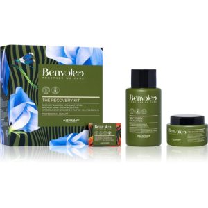 Alfaparf Milano Benvoleo Recovery set cadou pentru par deteriorat-Țena