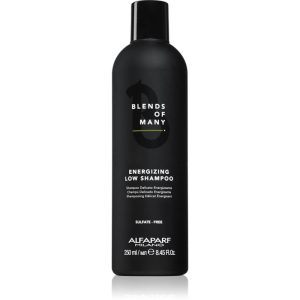 Alfaparf Milano Blends of Many Energizing sampon energizant pentru par fin 250 ml-ro