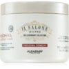 Alfaparf Milano Il Salone Milano Magnificent masca pentru păr vopsit 500 ml-ro