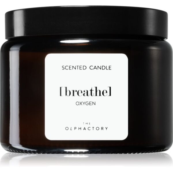 Ambientair The Olphactory Oxygen lumânare parfumată (brown) Breathe 360 g-ro
