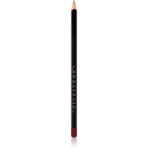Anastasia Beverly Hills Lip Liner creion contur buze culoare Raisin 1