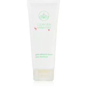 Annayake CleanSkin Gentle Cleansing Gel Gel facial de curatare perfecta pentru curatare 100 ml-ro