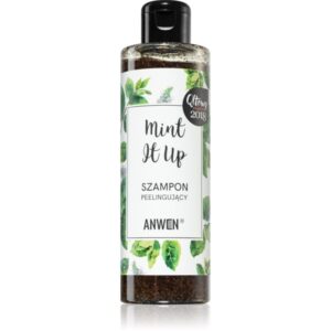 Anwen Mint It Up șampon exfoliant 200 ml-Țena