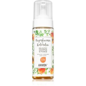 Anwen Peach & Coriander spuma de curatat pentru scalp sensibil si uscat 170 ml-Țena