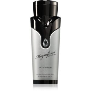 Armaf Magnificent Pour Homme Eau de Parfum pentru bărbați 100 ml-Țena