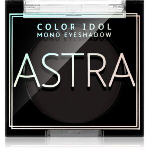 Astra Make-up Color Idol Mono Eyeshadow fard ochi culoare 10 R&B(lack) 2