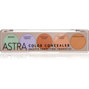 Astra Make-up Palette Color Concealer paleta corectoare 6