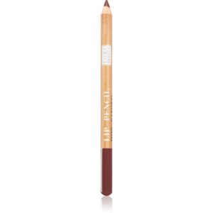 Astra Make-up Pure Beauty Lip Pencil creion contur buze natural culoare 03 Maple 1