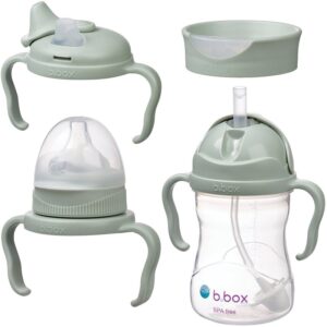 B.Box Baby Bottle 4 in 1 biberon pentru copii 4 in 1 Sage 240 ml-Țena