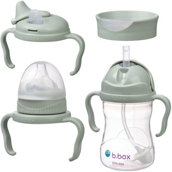 B.Box Baby Bottle 4 in 1 biberon pentru copii 4 in 1 Sage 240 ml-Țena