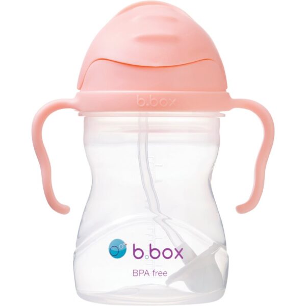 B.Box Gelato Cup ceasca cu pai Tutti Frutti 6m+ 240 ml-ro