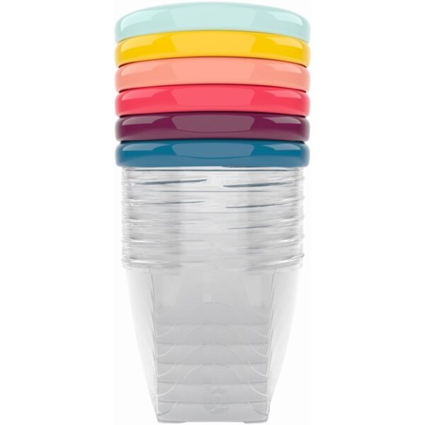 Babymoov Bowls Multicolor castron cu capac 6x250 ml-Țena