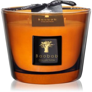Baobab Collection Les Prestigieuses Cuir de Russie lumânare parfumată 10 cm-Țena