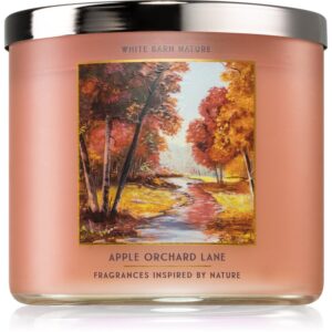 Bath & Body Works Apple Orchard Lane lumânare parfumată 411 g-Țena