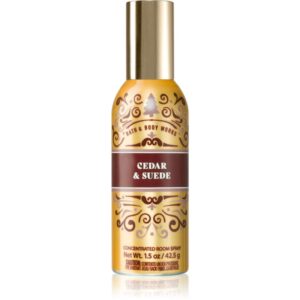 Bath & Body Works Cedar & Suede spray pentru camera 42