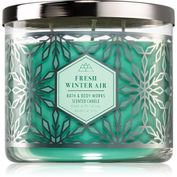 Bath & Body Works Fresh Winter Air lumânare parfumată I. 411 g-ro