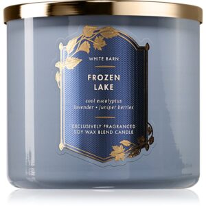 Bath & Body Works Frozen Lake lumânare parfumată 411 g-Țena