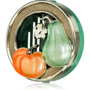 Bath & Body Works Pumpkin and Gourd suport auto pentru odorizant
