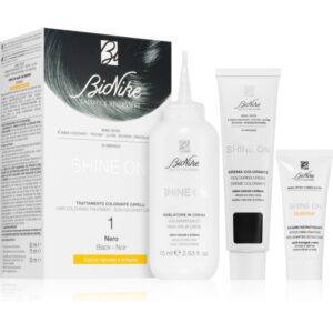 BioNike SHINE ON Culoare permanenta pentru par culoare 1 Black 1 buc-ro