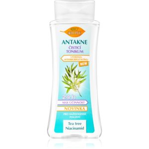 Bione Cosmetics Antakne tonic pentru curatare pentru ten gras si problematic 255 ml-Țena