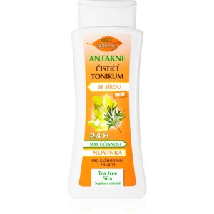 Bione Cosmetics Antakne tonic pentru curățarea tenului cu sulf 255 ml-Țena