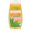 Bione Cosmetics Cannabis sampon pentru regenerare 260 ml-ro