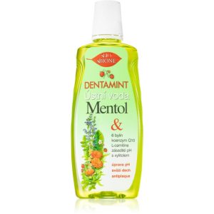 Bione Cosmetics Dentamint Menthol apă de gură 500 ml-Țena