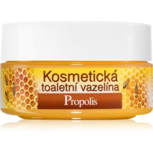 Bione Cosmetics Honey + Q10 vaselina cosmetica 155 ml-ro