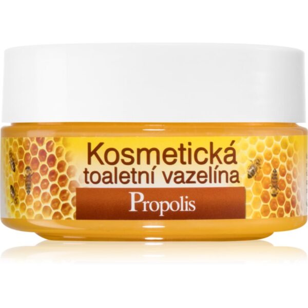 Bione Cosmetics Honey + Q10 vaselina cosmetica 155 ml-ro
