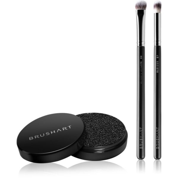 BrushArt Professional Eyeshadow brush set with brush cleaning sponge set de pensule pentru machiajul ochilor-ro