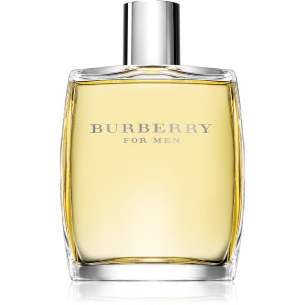Burberry Burberry for Men Eau de Toilette pentru bărbați 100 ml-ro