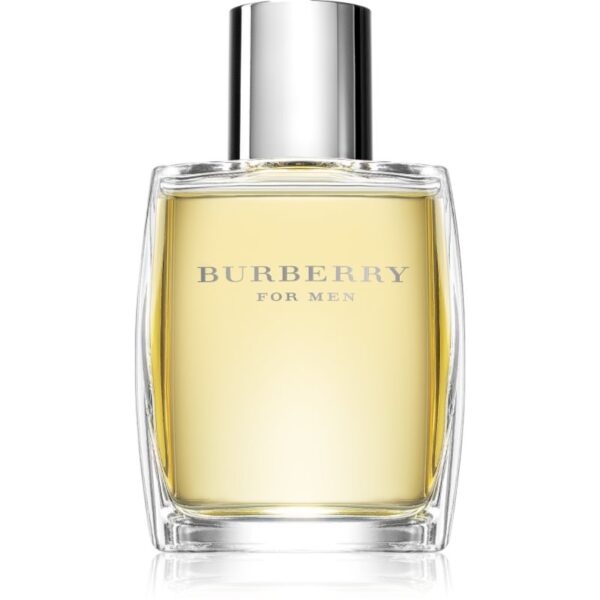 Burberry Burberry for Men Eau de Toilette pentru bărbați 50 ml-Țena