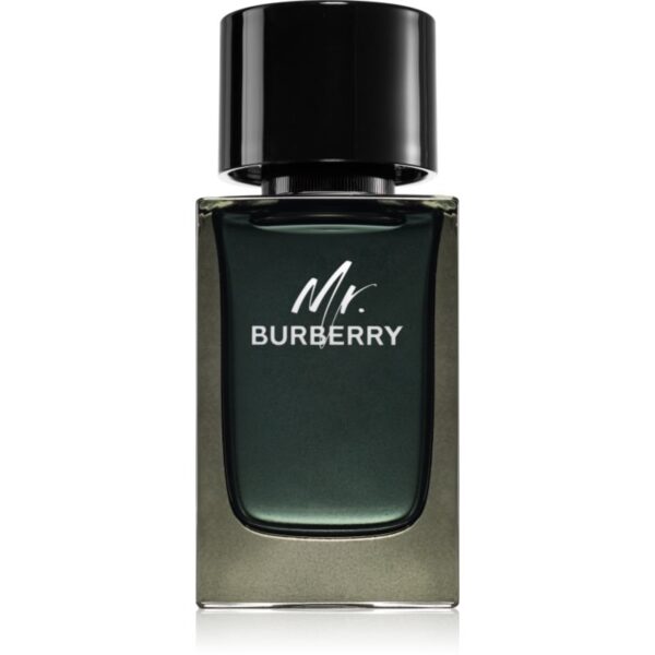 Burberry Mr. Burberry Eau de Parfum pentru bărbați 100 ml-Țena
