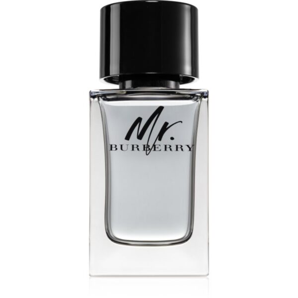 Burberry Mr. Burberry Eau de Toilette pentru bărbați 100 ml-Țena
