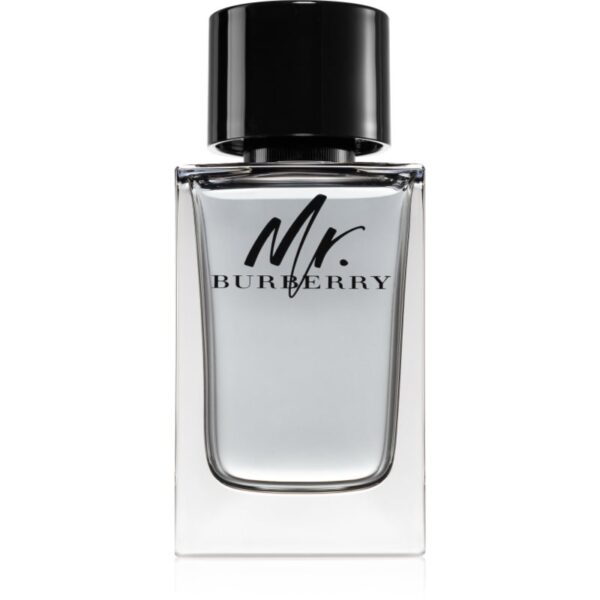 Burberry Mr. Burberry Eau de Toilette pentru bărbați 150 ml-Țena