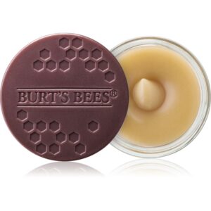 Burt’s Bees Lip Scrub Exfoliant pentru buze cu efect de nutritiv 7.08 g-ro