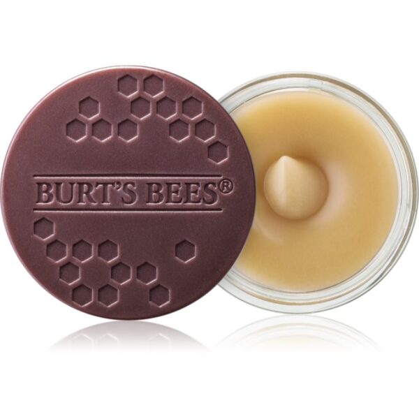 Burt’s Bees Lip Scrub Exfoliant pentru buze cu efect de nutritiv 7.08 g-ro