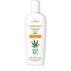 Cannaderm Seborea CBD+ șampon anti matreata 150 ml-ro