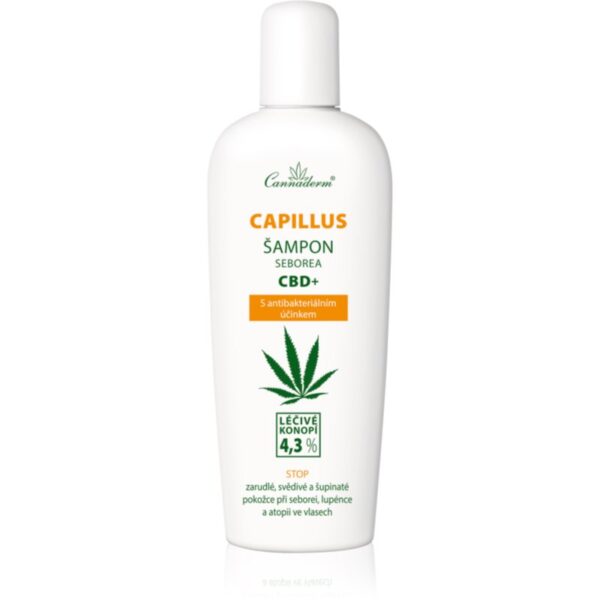 Cannaderm Seborea CBD+ șampon anti matreata 150 ml-ro