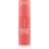Catrice Blushin' Charm Multi Stick blush pentru iluminare stick culoare 020 Coral Cutie 5.5 g-ro