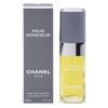 Chanel Pour Monsieur Eau de Toilette pentru bărbați 100 ml-ro