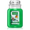 Country Candle Hollyberry lumânare parfumată 737 g-Țena