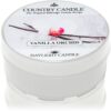 Country Candle Vanilla Orchid lumânare 42 g-ro