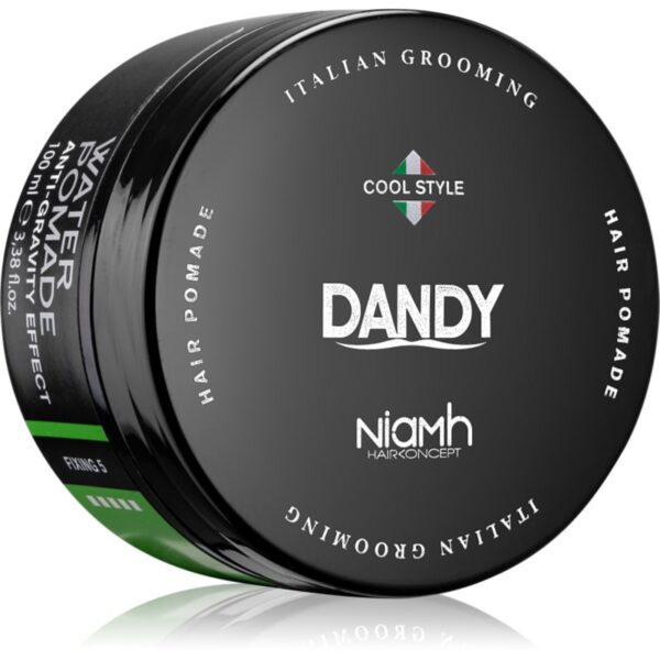 DANDY Water Pomade Anti-Gravity Effect pomadă de păr fixare puternică 100 ml-ro